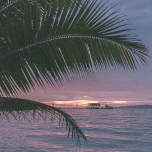 美国老奶奶logo大全
