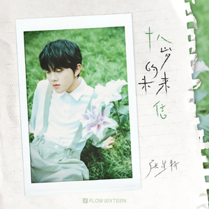 美国老奶奶logo大全
